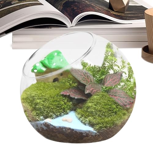 Terrarium für Pflanzen, Mehrzweck-Glas für Dekoration zu Hause und Veranstaltungen, transparente Vase für Blumen, Kerzenhalter, geneigter Mund, Dekoration des Ho von Generic