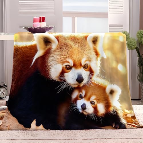 Tier Orange Roter Panda Kuscheldecke Orange Farbe Flauschig Decke Fleecedecke, Sofa Überwurfdecke, Wohndecke Warm Weich Sherpa Wolldecke, Gemütlicher Überwurf Für Bett und Couch 200x220 cm Tier Orange Roter Panda Kuscheldecke Orange Farbe Flauschig Decke Fleecedecke, Sofa Überwurfdecke, Wohndecke Warm Weich Sherpa Wolldecke, Gemütlicher Überwurf Für Bett und Couch 200x220 cm von Generic
