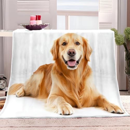 Tierischer Golden Retriever Kuscheldecke Weiche Flauschige Decke Weiß Flanell Tagesdecke, Ganzjahresdecke, Leichte Reisedecke - Schwarz Fleecedecke als Sofadecke 150x200 cm Tierischer Golden Retriever Kuscheldecke Weiche Flauschige Decke Weiß Flanell Tagesdecke, Ganzjahresdecke, Leichte Reisedecke - Schwarz Fleecedecke als Sofadecke 150x200 cm von Generic