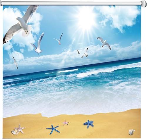 Tragbares Verdunkelungsrollo, Strandmuster-rollos, 60 cm / 80 cm / 100 cm / 120 cm / 140 cm Breite Fensterrollos, One Color, 120W x 200H cm Tragbares Verdunkelungsrollo, Strandmuster-rollos, 60 cm / 80 cm / 100 cm / 120 cm / 140 cm Breite Fensterrollos, One Color, 120W x 200H cm von Generic