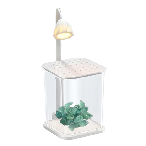 Transparentes Aquarium Betta - Kampffischaquarium | Glasfischaquarium mit Landschaft Ornament Tisch, Glasaquarium mit Nachtlicht Transparentes Aquarium Betta - Kampffischaquarium | Glasfischaquarium mit Landschaft Ornament Tisch, Glasaquarium mit Nachtlicht von Generic
