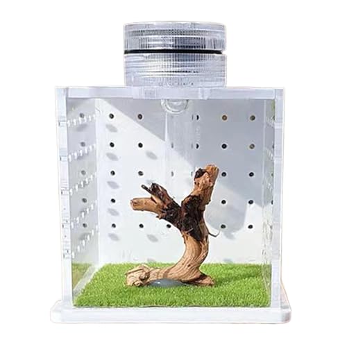 Transparentes Froschgehege – Springspinnen-Terrariumkäfig | Transparenter klarer Eidechsenkäfig | Futterbox mit leichtem Luftbefeuchter | transparenter Frosch-Tankkäfig für kleine Baumbewohner Transparentes Froschgehege – Springspinnen-Terrariumkäfig | Transparenter klarer Eidechsenkäfig | Futterbox mit leichtem Luftbefeuchter | transparenter Frosch-Tankkäfig für kleine Baumbewohner von Generic