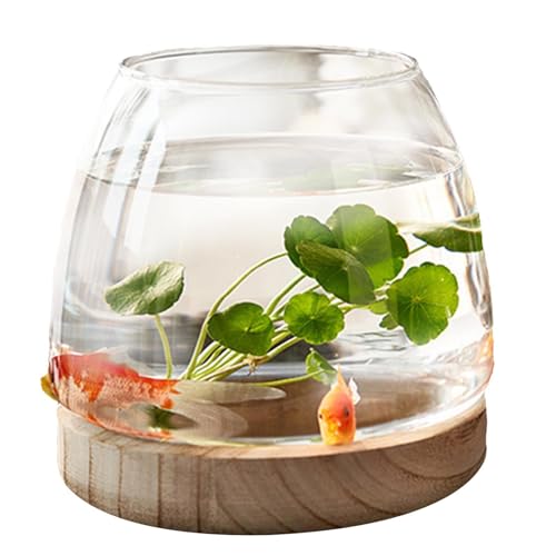 Vase für Fische – Aquarium aus transparentem Glas | Blumentopf mit Ständer aus Holz | Terrarium für Hydrokulturen | Vase für Wasserpflanzen | transparenter Fischschale von Generic