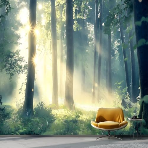 Vlies Fototapete 350 x 256 cm Grün, Foto Tapete Schlafzimmer Wohnzimmer Vliestapete Wandtapete Motivtapeten 3d Effekt Wand Dekoration, Natur Sonnenschein Dschungel Vlies Fototapete 350 x 256 cm Grün, Foto Tapete Schlafzimmer Wohnzimmer Vliestapete Wandtapete Motivtapeten 3d Effekt Wand Dekoration, Natur Sonnenschein Dschungel von Generic