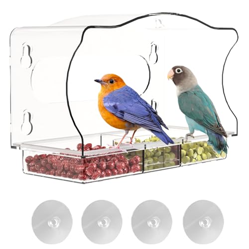 Vogel-Ordner für – Transparentes Acryl, Premium-Absaugung | Sehen Sie sich durch das Futtertablett von Birdhouse an, Füllung, Visualisierung Vogel-Ordner für – Transparentes Acryl, Premium-Absaugung | Sehen Sie sich durch das Futtertablett von Birdhouse an, Füllung, Visualisierung von Generic