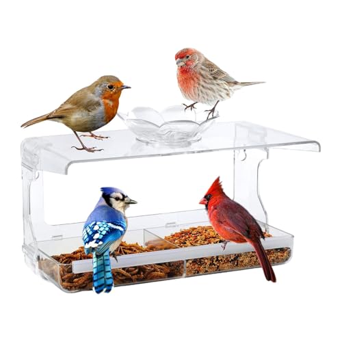 Vogelhäuschen für Fenster zum Anschauen – Vogelfutterspender für Fenster mit starken Saugnäpfen, transparentes Vogelhaus – Futternapf mit Fenster-Tablett, Eichhörnchenfest, groß C Vogelhäuschen für Fenster zum Anschauen – Vogelfutterspender für Fenster mit starken Saugnäpfen, transparentes Vogelhaus – Futternapf mit Fenster-Tablett, Eichhörnchenfest, groß C von Generic