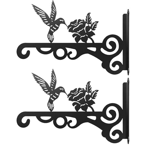 Wand-Blumentopfhaken – Vogelfutter-Haken aus robustem Eisen zum Aufhängen an der Wand, drehbarer Pflanzenhaken, Regalhalter für Blumenkorb Wand-Blumentopfhaken – Vogelfutter-Haken aus robustem Eisen zum Aufhängen an der Wand, drehbarer Pflanzenhaken, Regalhalter für Blumenkorb von Generic