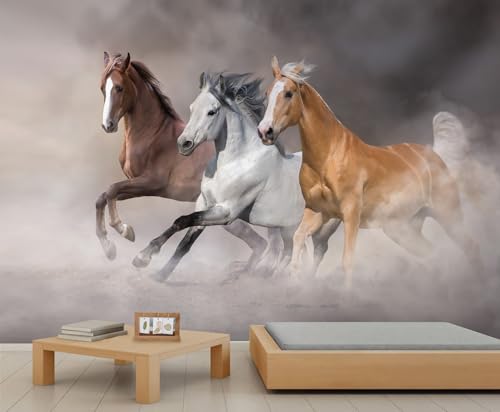 Wandbild Laufendem Pferd Grauer Himmel Wandtapete Staub Naturlandschaft Tapete Tierpferd Wandpapier für Schlafzimmer Wohnzimmer Raumdekoration Sofa Tv Hintergrund Großes Wandgemälde Poster Wandbild Laufendem Pferd Grauer Himmel Wandtapete Staub Naturlandschaft Tapete Tierpferd Wandpapier für Schlafzimmer Wohnzimmer Raumdekoration Sofa Tv Hintergrund Großes Wandgemälde Poster von Generic