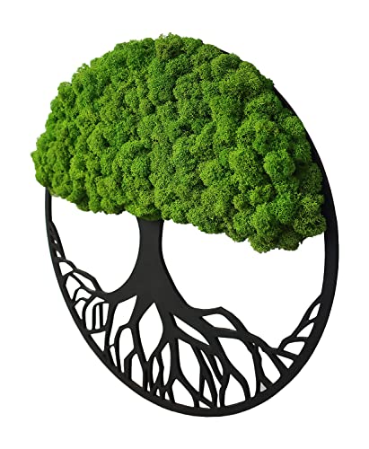 Wanddeko Moosbilder 50cm in Form Eines Baumes - Schön Aussehender Wand Baum - Bringen Sie Leben in Ihre Wohnung - Wandbild aus Natürlichen Rohstoffen und Deko Moos, Mittelgrün-Natürlich Kiefer von Generic