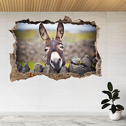 Wandsticker Ein Schöner Esel Unter Dem Regen 3D Zertrümmerte Ansicht Wandaufkleber Poster Aufkleber A852 55x80cm von Generic
