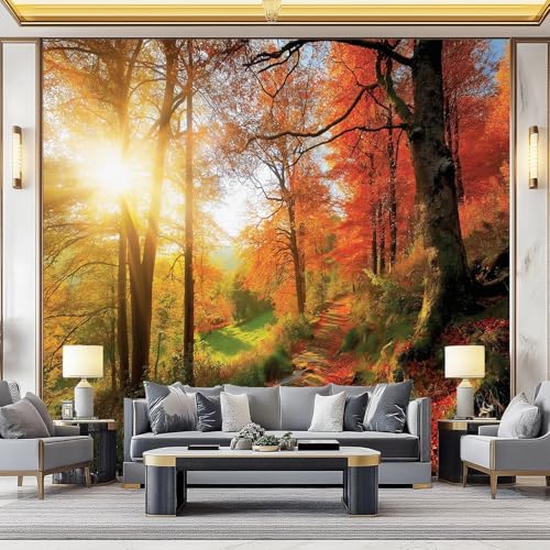 Wandtapete Vlies Fototapete Bunt - Natur Sonnenschein Herbstwald Laub Wanddeko, Perfekt für Wohnzimmer & Schlafzimmer, Einfach anzubringen, Nicht selbstklebend, 250 x 175 cm Wandtapete Vlies Fototapete Bunt - Natur Sonnenschein Herbstwald Laub Wanddeko, Perfekt für Wohnzimmer & Schlafzimmer, Einfach anzubringen, Nicht selbstklebend, 250 x 175 cm von Generic