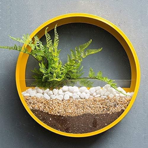 Wandteller Metall Kunst Hagig Blumenvase Roud Iro Hagig Korb Einfarbig Wand Plater Dekor Adormet Bosai Creative Idoor Töpfe Terrarien Plater Blumen Boxen, Yellow, (Large(12") von Generic