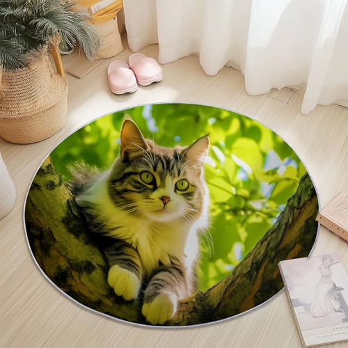 Waschbare Runde Teppiche 100 cm, Nahaufnahme Niedlich Katze AST Rutschfester Runder Teppich für das Wohnzimmer, Bunt Weicher Niedrigfloriger Teppich für unter den Esstisch von Generic