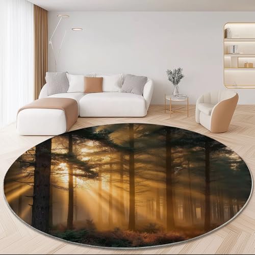 Waschbarer Runder Teppich mit Natur Kiefernwald Fotografie Motiv, Braun Weich rutschfest Rund Rug, Ø 180 cm Kuscheliger Schmutzabweisend Teppich für Wohnzimmer Kinderzimmer Waschbarer Runder Teppich mit Natur Kiefernwald Fotografie Motiv, Braun Weich rutschfest Rund Rug, Ø 180 cm Kuscheliger Schmutzabweisend Teppich für Wohnzimmer Kinderzimmer von Generic