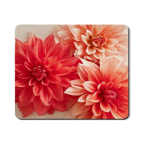 Waschmaschinen-Oberseite, Schutzmatte mit Blumenmuster, Rot, Vintage-Blumenmuster, Sommer-Gummi, rutschfest, wasserdicht, Wasch- und Trocknermatten für Waschküche, 50,8 x 61 cm Waschmaschinen-Oberseite, Schutzmatte mit Blumenmuster, Rot, Vintage-Blumenmuster, Sommer-Gummi, rutschfest, wasserdicht, Wasch- und Trocknermatten für Waschküche, 50,8 x 61 cm von Generic