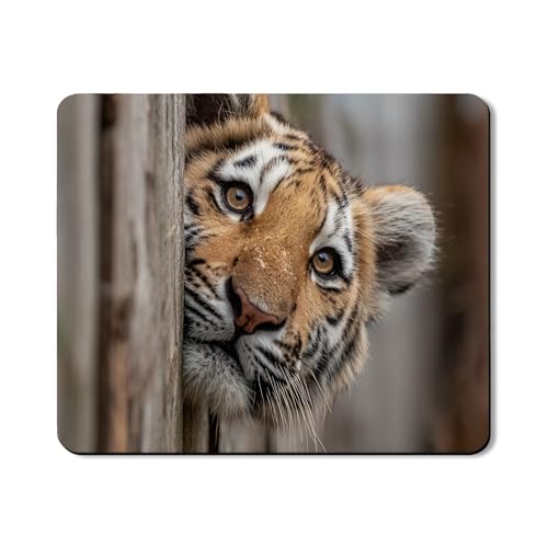 Waschmaschinen- und Trockner-Matte mit Tiger-Druck, kräftiges Tiermuster, rutschfeste wasserdichte Waschmaschinen- und Trocknermatten für Waschküche, 50,8 x 61 cm Waschmaschinen- und Trockner-Matte mit Tiger-Druck, kräftiges Tiermuster, rutschfeste wasserdichte Waschmaschinen- und Trocknermatten für Waschküche, 50,8 x 61 cm von Generic