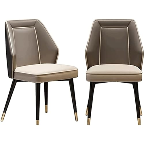Wasserdichter Esszimmerstuhl, Küchenstühle 2er-Set, Schminkstuhl mit Beinen aus Kohlenstoffstahl, Loungesessel für Wohnzimmer/Schlafzimmer von Generic