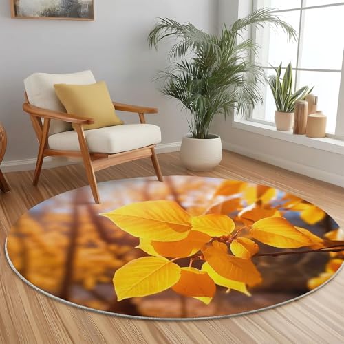 Weich Teppich Rund 60 cm Herbstlaub Goldene Blätter Natur, Waschbar rutschfest Wohnzimmerteppich Robuster Flauschiger Rund Teppiche Gelb Bedruckt Teppich Für Küchen Esszimmer Schlafzimmer Weich Teppich Rund 60 cm Herbstlaub Goldene Blätter Natur, Waschbar rutschfest Wohnzimmerteppich Robuster Flauschiger Rund Teppiche Gelb Bedruckt Teppich Für Küchen Esszimmer Schlafzimmer von Generic