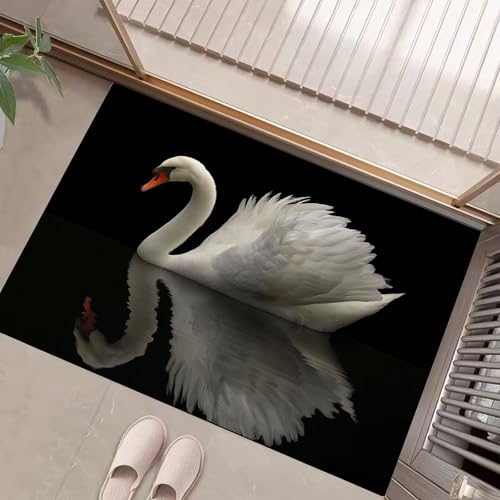 Weißer Schwan Schmutzfangmatte Innen 60 X 90 cm, Elegante Tiere Fußmatte Innen, rutschfeste Fußmatte Waschbar, Eingangsteppich, Sauberlaufmatte Saugstarke, Türmatte Für Eingang, Haustür (Schwarz) von Generic