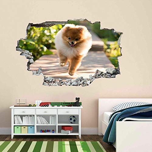 Welpen Hund Tier 3D Wandaufkleber Wandtattoo Kinderzimmer Dekor Cs7-3D DIY Aufkleber Wandbild von Generic