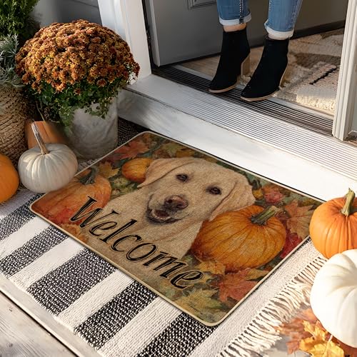 Willkommens-Fußmatte, gelbes Laborhunde-Design für Herbsteingang, rustikale Herbstdekoration, Gummi, wasserdicht, rutschfest, staubabsorbierend, leicht zu reinigen, 73,2 x 43,2 cm Willkommens-Fußmatte, gelbes Laborhunde-Design für Herbsteingang, rustikale Herbstdekoration, Gummi, wasserdicht, rutschfest, staubabsorbierend, leicht zu reinigen, 73,2 x 43,2 cm von Generic