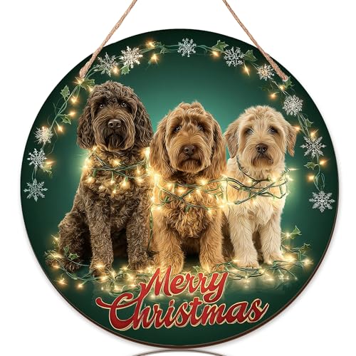 Willkommensschild für Haustür, weihnachtliche Weihnachtslichter, Schneeflocken, grünes Holz, Veranda, Willkommensschilder für Zuhause, saisonale Feiertage, Veranda, Dekoration, 3 Stück von Generic