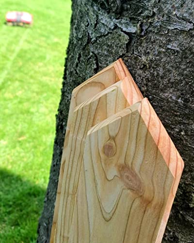 Zaunlatte 9x2x150 Sibirische Lärche 15 szt Form C Zaunlatte 9x2x150 Sibirische Lärche 15 szt Form C von Generic