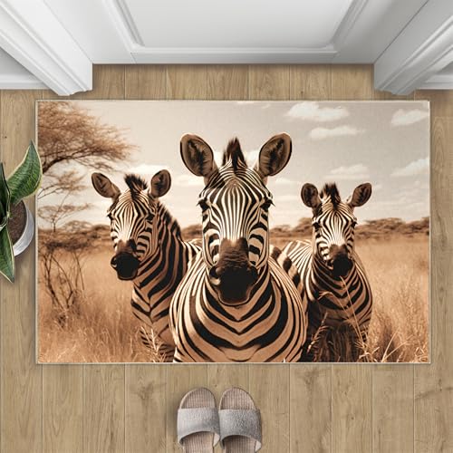 Zebra Teppich Retro-Grasland Kleine Teppiche Schwarz-Weißes Grasland 50x80 Rug Tier Vorleger Rutschfester Teppich Für Stark Frequentierte Bereiche von BEQUTIY