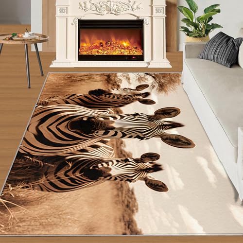 Zebra Teppich Retro-Grasland Kleine Teppiche Schwarz-Weißes Grasland 60x90 Rug Tier Vorleger Rutschfester Teppich Für Stark Frequentierte Bereiche von BEQUTIY