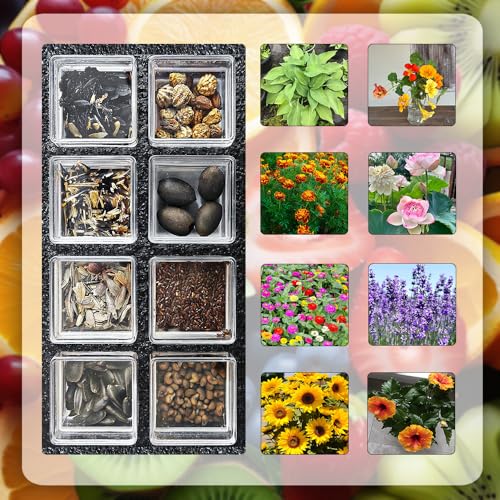 blumensamen mischung Blumen Samen Set - 16 Sorten balkonblumen büropflanzen balkonpflanzen winterhart winterharte kübelpflanzen pflanzensamen balkon pflanze blumen garten bodendecker 433g blumensamen mischung Blumen Samen Set - 16 Sorten balkonblumen büropflanzen balkonpflanzen winterhart winterharte kübelpflanzen pflanzensamen balkon pflanze blumen garten bodendecker 433g von Generic