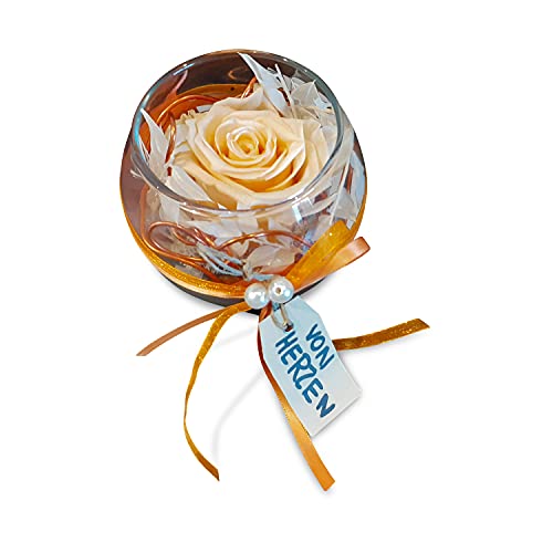 BEIJA FLOR Handgefertigte konservierte Rose im Glas - Echte Ewige Rose - 3 Jahre haltbar - stilvolle Dekoration mit Infinity Rose - Geschenk für jeden Anlass – Made in Germany (Apricot) von BEIJA FLOR