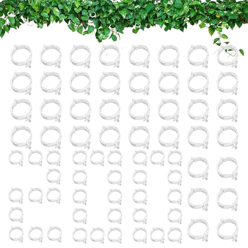 Clips für Kletterpflanzen, Gartenclips für Pflanzen, 200 kleine Weinrebenclips für Tomaten, Gartenklammern für Kletterpflanzen, Gemüsebefestigungsclip für Obst und von Genérico