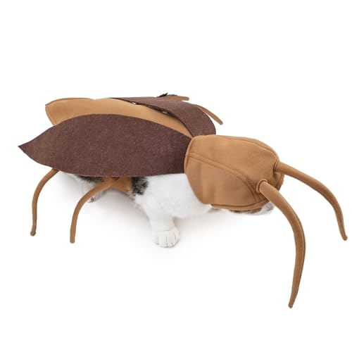 Costume Da Scarafaggio per Gatti - E Antenne Da Scarafaggio per Gatti, Realistische Tierwelt für Cosplay, Feste Canine Party, Halloween und Haus | Kostüm Realistisches Zubehör Costume Da Scarafaggio per Gatti - E Antenne Da Scarafaggio per Gatti, Realistische Tierwelt für Cosplay, Feste Canine Party, Halloween und Haus | Kostüm Realistisches Zubehör von Genérico