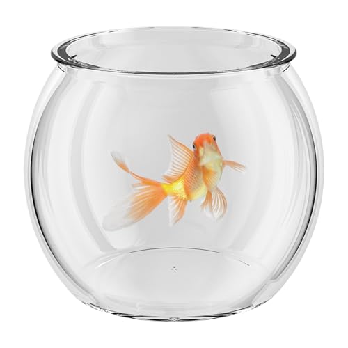 Desktop Aquarium | Transparenter Betta-Fischaquarium: kompakter Behälter für den Tisch oder Schreibtisch für den Bau von 360 Grad für das Paradies von Genérico