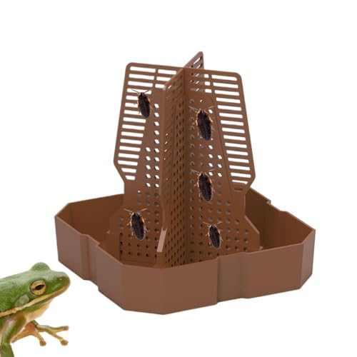 Eidechsen-Futterschale | -Futterschale mit Leiter – Terrarium zum Füttern von Schüsseln für Eidechsen, Frösche, Geckos, mit Leiter von Genérico