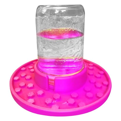 Feeder im Glas, vielseitiger Wasserspender für Bienenzucht, Bewässerungsstation, Einmachglas, Bienenzuckerglas, Gartenbecher, Bienenhonigdose von Genérico