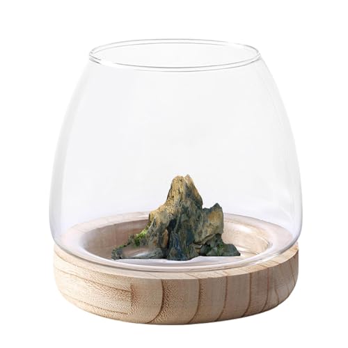Fischvase aus transparentem : Elegante Schüssel mit Holzfuß, Innendekorationen, Glasplaner für Wasserpflanzen, dekoratives Terrarium für Flore von Genérico