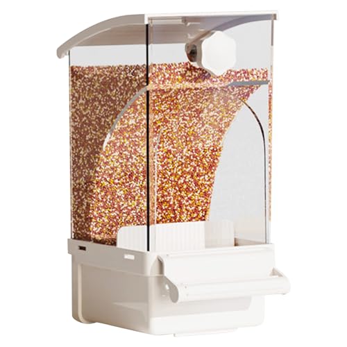 Für Papageien | Transparenter Lebensmittelbehälter | Leckerlispender für Haustiere | Vogeldekoration für NINFA Wellensittich Kanarienvögel Finken Conuro Für Papageien | Transparenter Lebensmittelbehälter | Leckerlispender für Haustiere | Vogeldekoration für NINFA Wellensittich Kanarienvögel Finken Conuro von Genérico