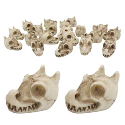 Genérico Dekorative Steine für Vasen, Steine für Vasen mit Drachenschädel-Design, 20 Stück, Dekoration aus Harz für Garten, Aquarium, Innen- und Außenbereich von Genérico