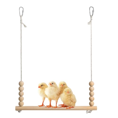 Genérico Für Hühner, natürliches Spielzeug aus Holz für Vögel, stabile Spieltreppe und Ruhe, für Papagei, Huhn, Bauernhof, Hinterhof Genérico Für Hühner, natürliches Spielzeug aus Holz für Vögel, stabile Spieltreppe und Ruhe, für Papagei, Huhn, Bauernhof, Hinterhof von Genérico