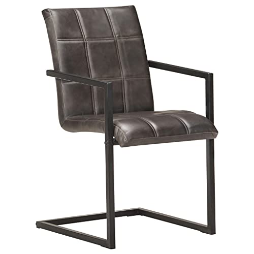 Genérico wenjingqi Freischwinger Esszimmerstühle, 2 Stück, echtes Leder, Grau, 321854 Genérico wenjingqi Freischwinger Esszimmerstühle, 2 Stück, echtes Leder, Grau, 321854 von Genérico