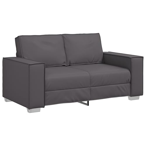 Genérico wenjingqi Loveseat 4105047 Sofa, 120 cm, Kunstleder, Grau Genérico wenjingqi Loveseat 4105047 Sofa, 120 cm, Kunstleder, Grau von Genérico