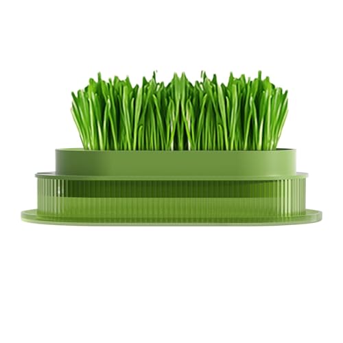 Gras-Blumentopf für Katzen, Grasbox für Katzen, Pflanztopf für Katzengras, transparente Hydrokulturschale für den Anbau von Katzengras, Kindergartentopf für Zuhause, m Gras-Blumentopf für Katzen, Grasbox für Katzen, Pflanztopf für Katzengras, transparente Hydrokulturschale für den Anbau von Katzengras, Kindergartentopf für Zuhause, m von Genérico