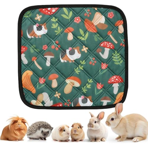 Hasenkäfigmatte – kleines Haustierkissen 30 x 30 cm | wiederverwendbare Kaninchenbodenmatte | weiche Bettwäsche für Kaninchen im Freien, Reisen, Wohnung Hasenkäfigmatte – kleines Haustierkissen 30 x 30 cm | wiederverwendbare Kaninchenbodenmatte | weiche Bettwäsche für Kaninchen im Freien, Reisen, Wohnung von Genérico