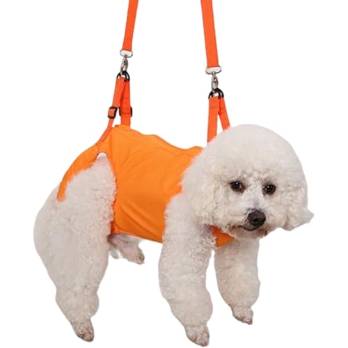 Hundegeschirr, Pfotenstütze und Rehabilitation von Welpen, atmungsaktiv und flexibel, für die Unterstützung von Haustieren im Freien für Behinderte, ältere Menschen oder Lähmungen von Genérico