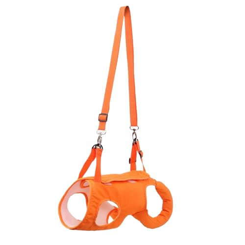 Hundegeschirr – Unterstützung für Hunde | Beinstütze Puppy Recovery Lifness Geschirr | Haustierunterstützung, flexibel, atmungsaktiv für Lähmungstraining Hundegeschirr – Unterstützung für Hunde | Beinstütze Puppy Recovery Lifness Geschirr | Haustierunterstützung, flexibel, atmungsaktiv für Lähmungstraining von Genérico