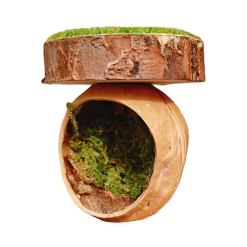Jumping Spider Decor - Spider Cave, Spider Hiding Spot | Handgefertigter Spinnenzaun Zubehör, natürlich, magnetisch, Amphibienzubehör, handgefertigt für Mantis Tarantella Käfig von Genérico