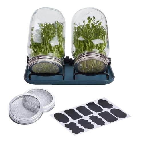 Keimgläser-Set – Keimgefäß-Set für Samen | Anzuchtset für Sprossen | Anzuchtset mit Sprossen | Keimung und Wachstum von Sämlingen | Saatgut-Set Keimgläser-Set – Keimgefäß-Set für Samen | Anzuchtset für Sprossen | Anzuchtset mit Sprossen | Keimung und Wachstum von Sämlingen | Saatgut-Set von Genérico