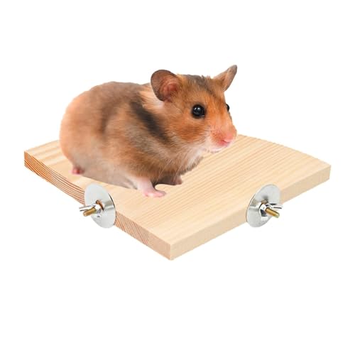 Parrot Perch STOT Toy – Trampolin-Plattform aus Holz, Ablage für Zubehör für Käfigkäfig, Trainingsbereich für kleine Vögel, Spielplatz aus Holz Parrot Perch STOT Toy – Trampolin-Plattform aus Holz, Ablage für Zubehör für Käfigkäfig, Trainingsbereich für kleine Vögel, Spielplatz aus Holz von Genérico