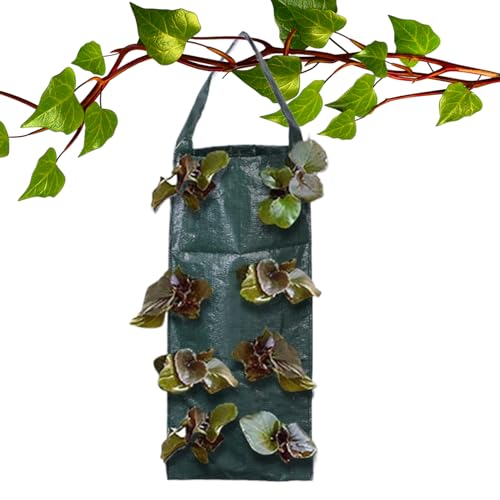 Pflanzbeutel für den Garten, Pflanztöpfe mit 8 atmungsaktiven Löchern für vertikale Gartenarbeit, platzsparende Lösung für Balkon, Zaun, Wand im Freien von Genérico
